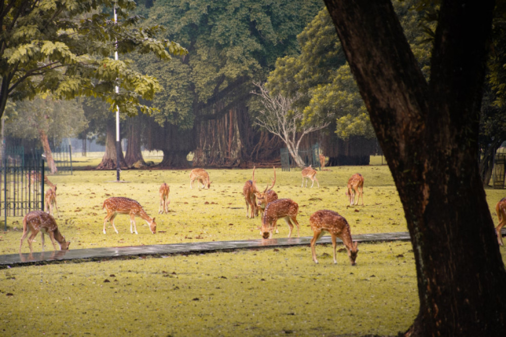 10 Tempat Wisata Bogor yang Cocok untuk Liburan Keluarga